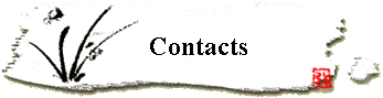 Contacts